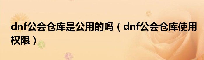 dnf公会仓库是公用的吗(dnf公会仓库使用权限)
