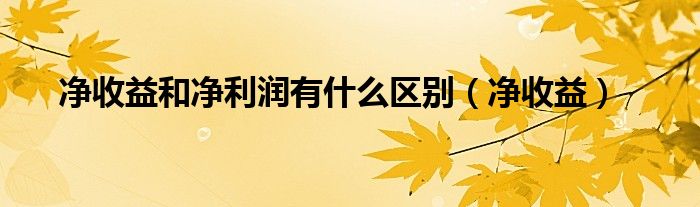 净收益和净利润有什么区别（净收益）