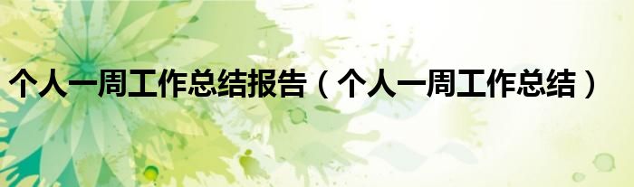 个人一周工作总结报告（个人一周工作总结）