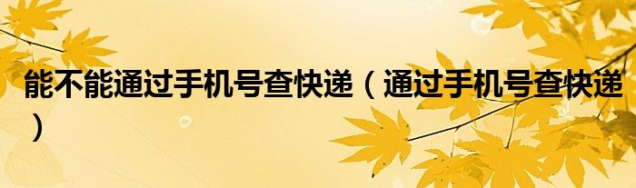 能不能通过手机号查快递（通过手机号查快递）