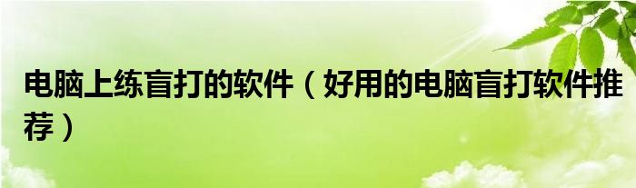 电脑上练盲打的软件（好用的电脑盲打软件推荐）