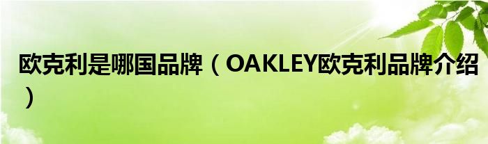 欧克利是哪国品牌（OAKLEY欧克利品牌介绍）
