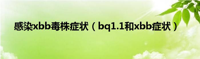感染xbb毒株症状（bq1.1和xbb症状）