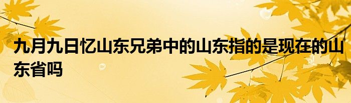 九月九日忆山东兄弟中的山东指的是现在的山东省吗