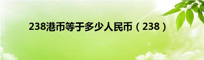 238港币等于多少人民币（238）