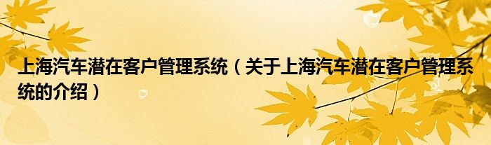 上海汽车潜在客户管理系统（关于上海汽车潜在客户管理系统的介绍）
