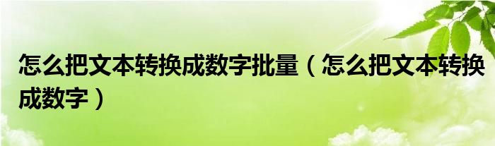 怎么把文本转换成数字批量（怎么把文本转换成数字）