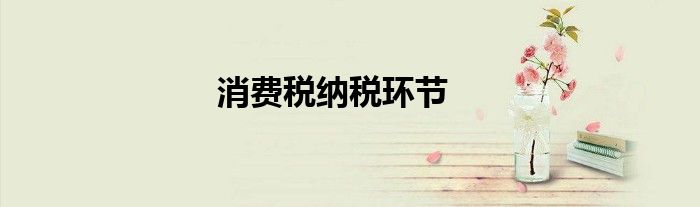 消费税纳税环节