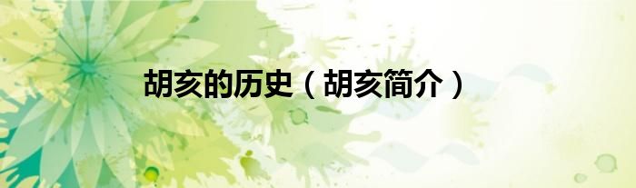 胡亥的历史（胡亥简介）
