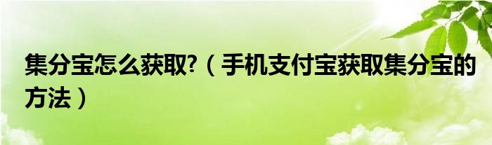 集分宝怎么获取?（手机支付宝获取集分宝的方法）
