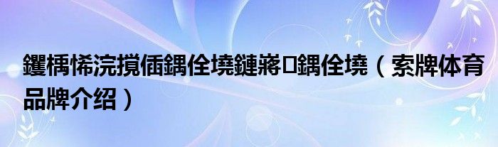 钁楀悕浣撹偛鍝佺墝鏈嶈鍝佺墝（索牌体育品牌介绍）