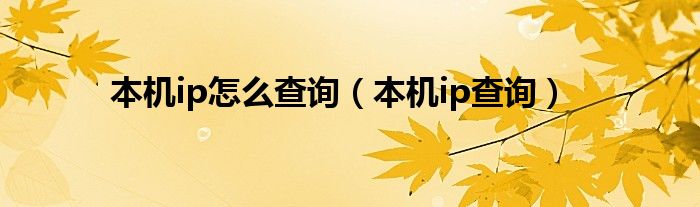 本机ip怎么查询（本机ip查询）