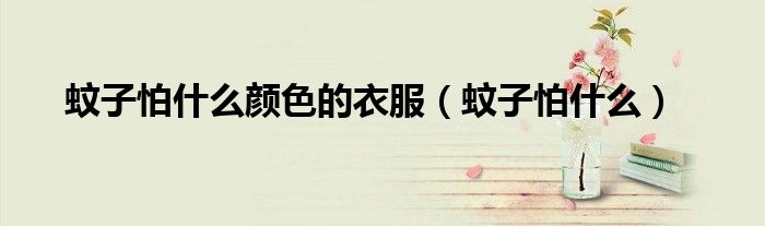 蚊子怕什么颜色的衣服（蚊子怕什么）