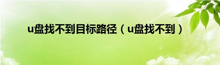 u盘找不到目标路径（u盘找不到）