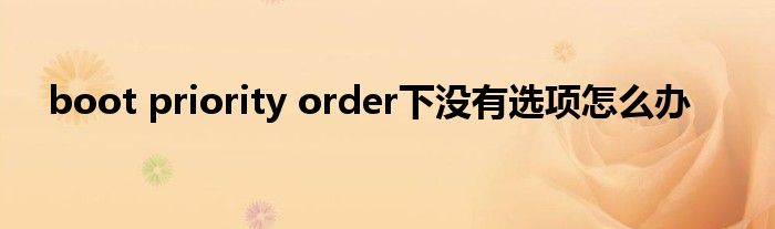 boot priority order下没有选项怎么办