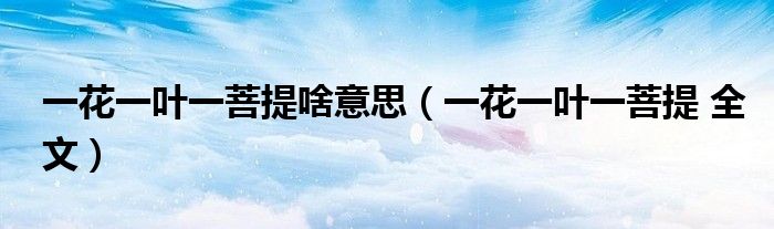 一花一叶一菩提啥意思（一花一叶一菩提 全文）