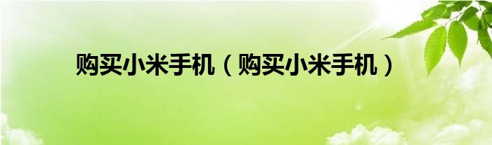 购买小米手机（购买小米手机）