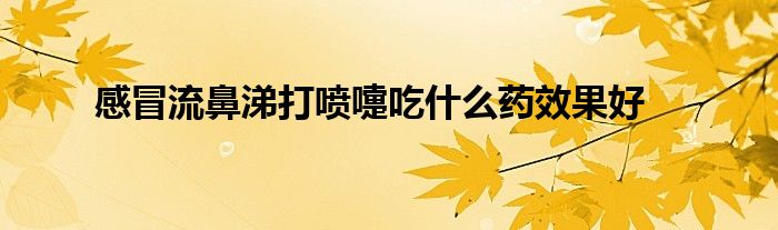 感冒流鼻涕打喷嚏吃什么药效果好